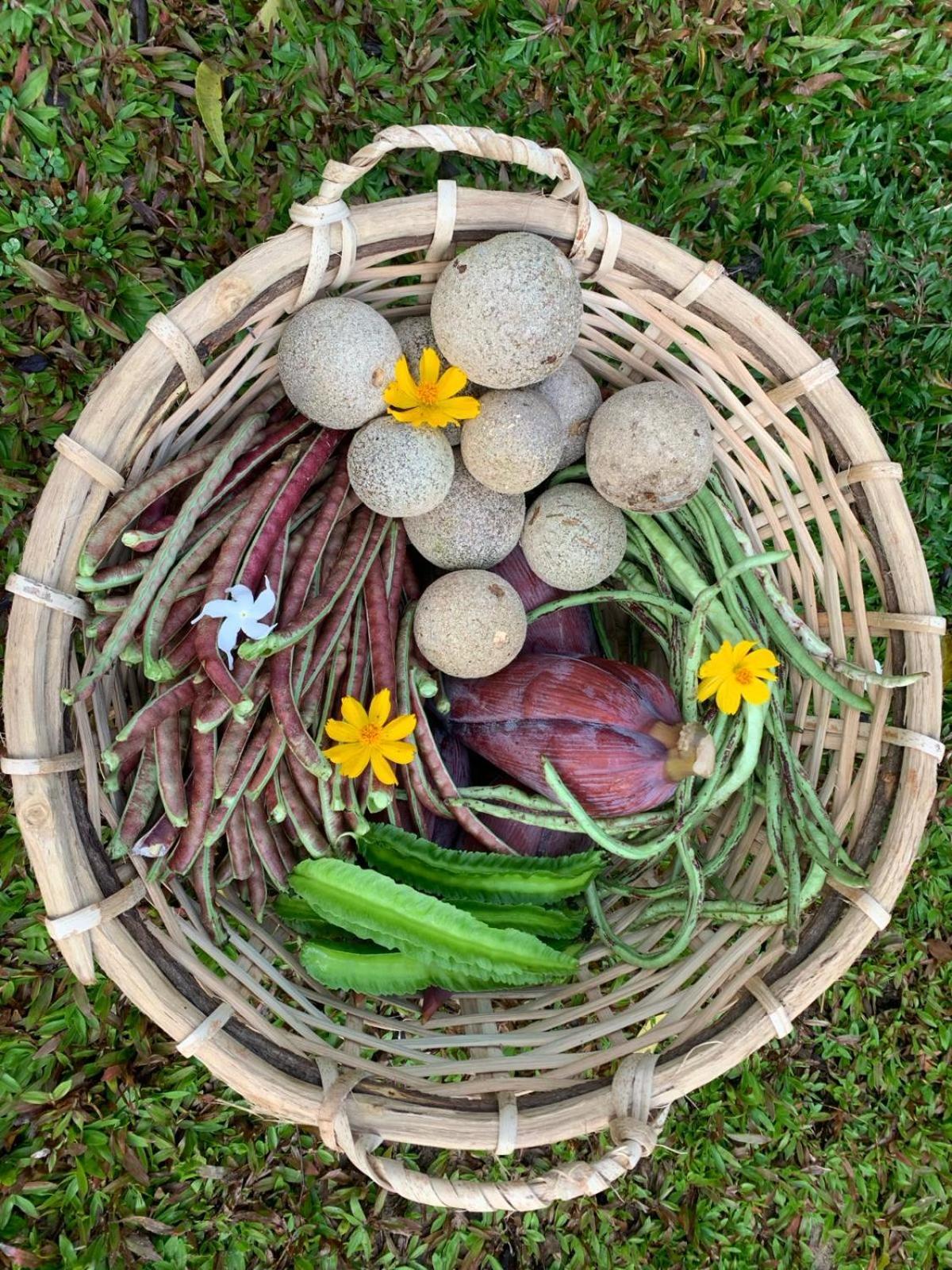 Buttala Sahana Retreat מראה חיצוני תמונה