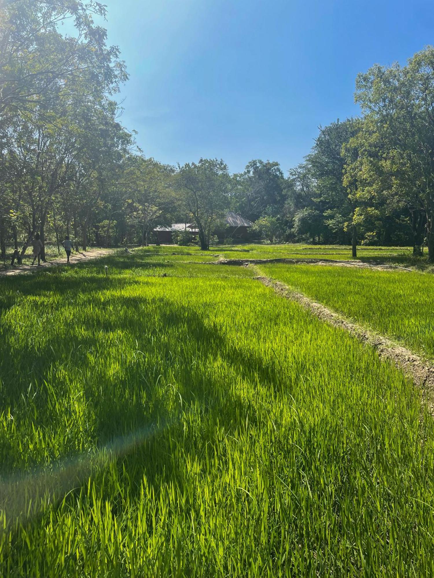 Buttala Sahana Retreat מראה חיצוני תמונה