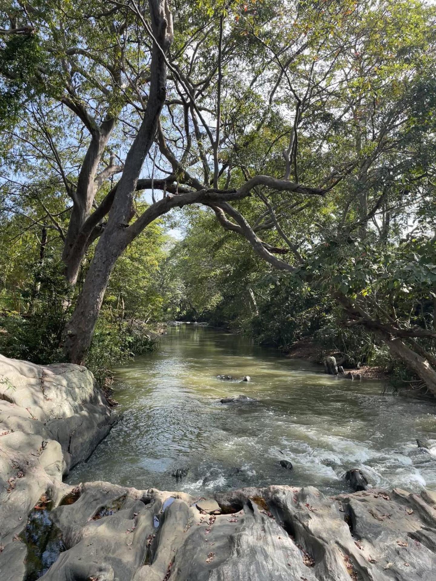 Buttala Sahana Retreat מראה חיצוני תמונה