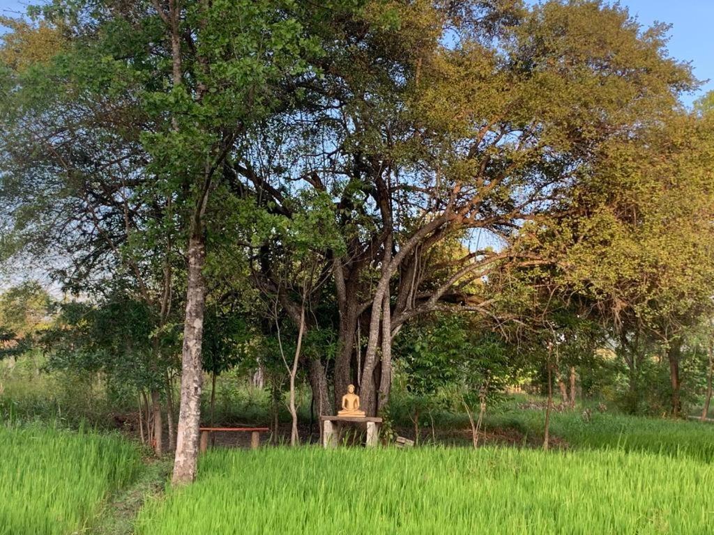 Buttala Sahana Retreat מראה חיצוני תמונה