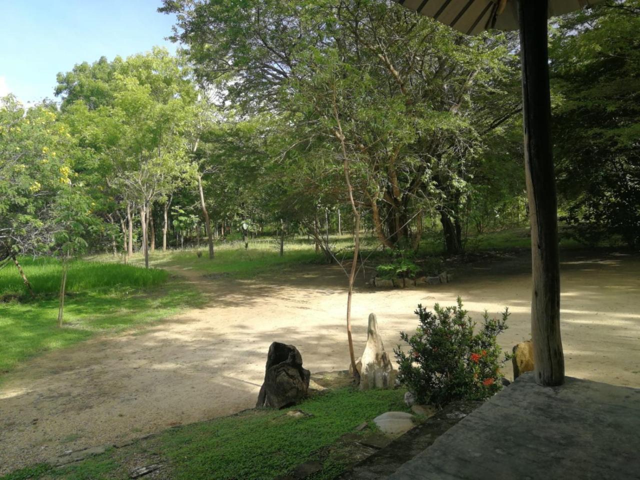 Buttala Sahana Retreat מראה חיצוני תמונה
