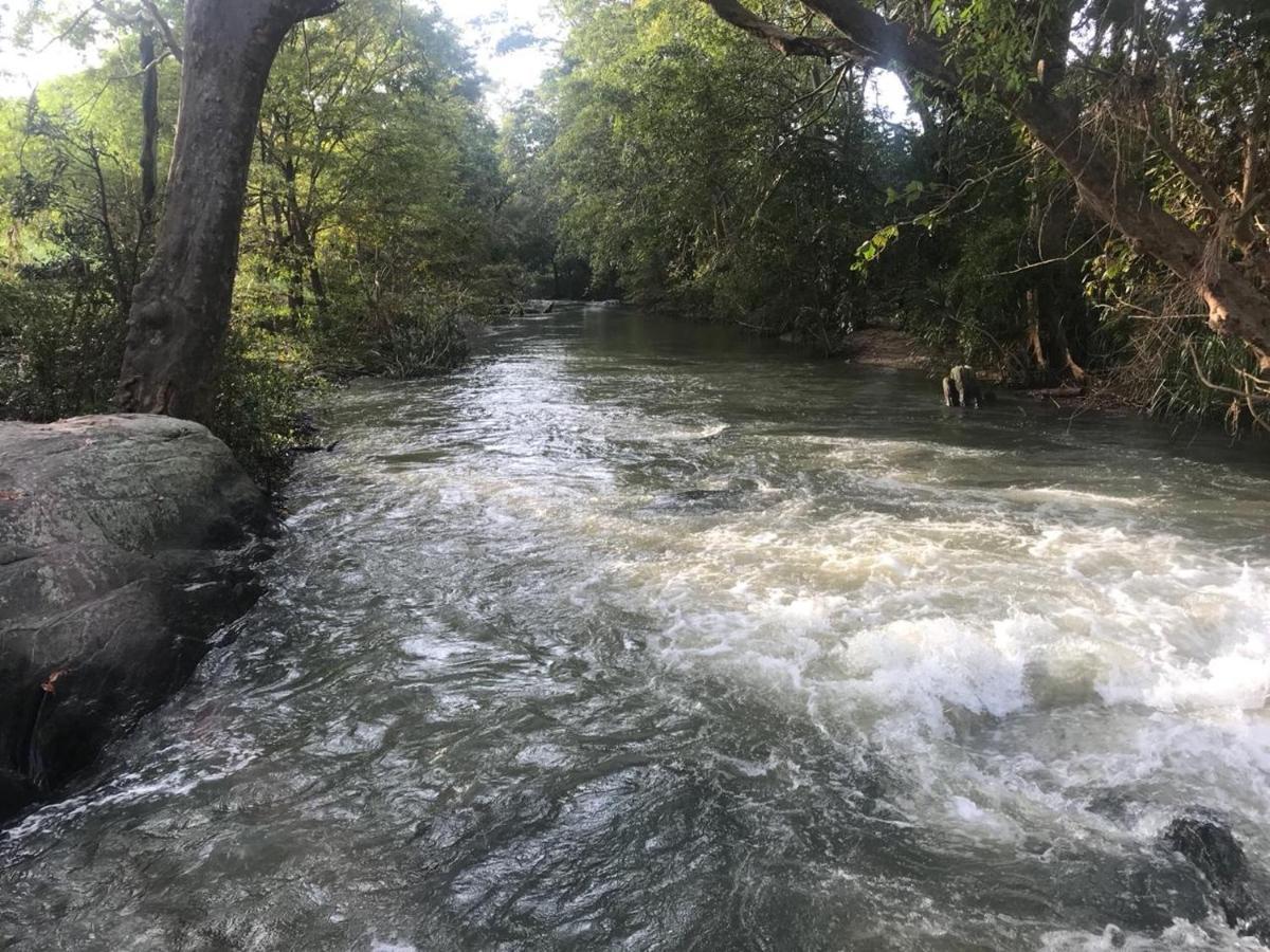 Buttala Sahana Retreat מראה חיצוני תמונה